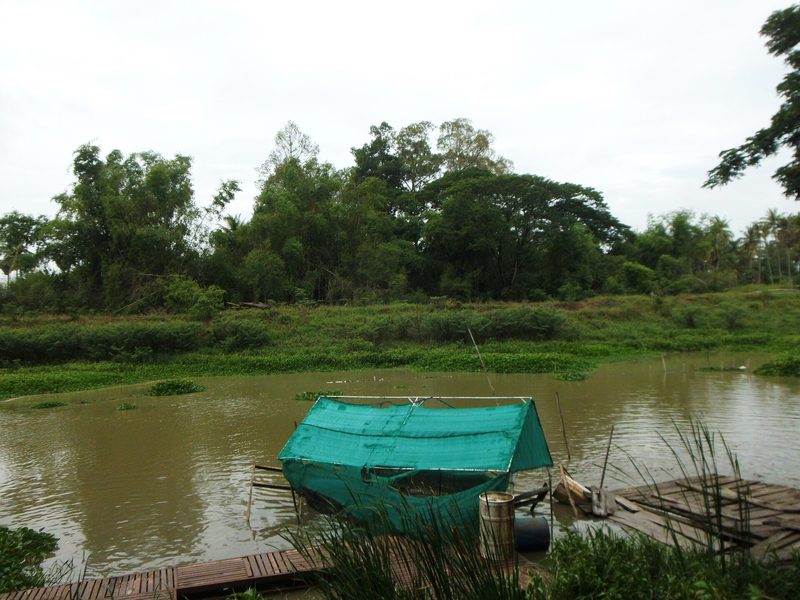 ลำน้ำสีเขียวขุ่น เรือมีหลังคาคลุมจอดริมตลิ่ง และแนวต้นไม้